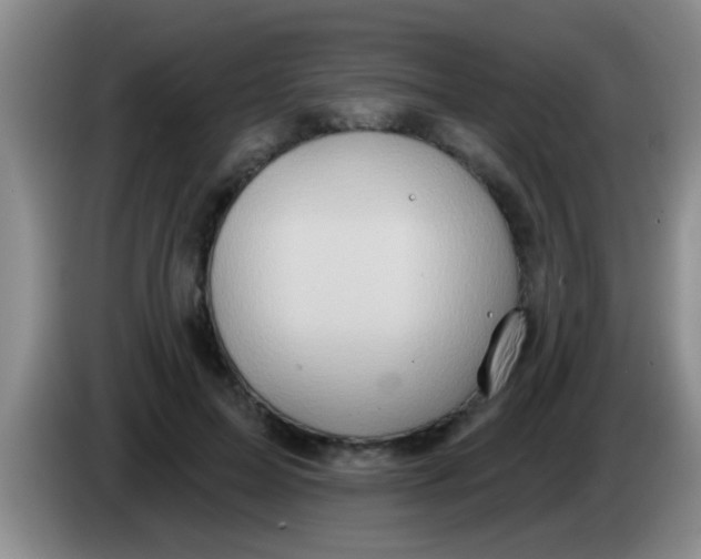 X0000084020599200703091949