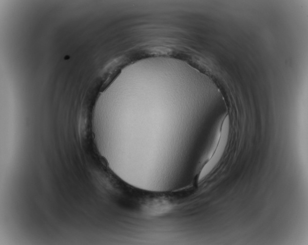 X0000084020600200703091949