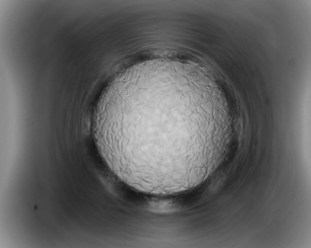 X0000084020602200703091949