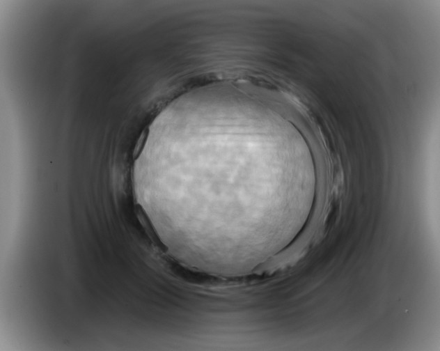 X0000084020604200703091949