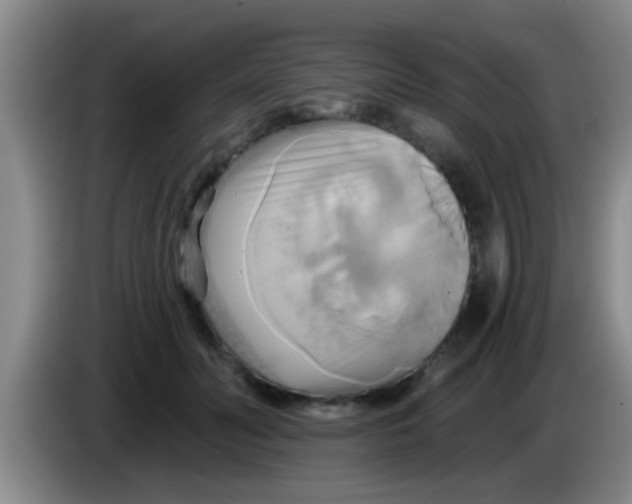 X0000084020606200703091949