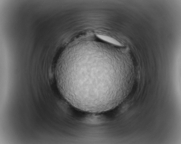 X0000084020607200703091949