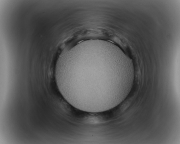 X0000084020608200703091949