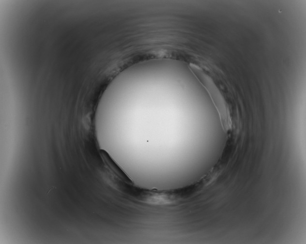 X0000084020611200703091949