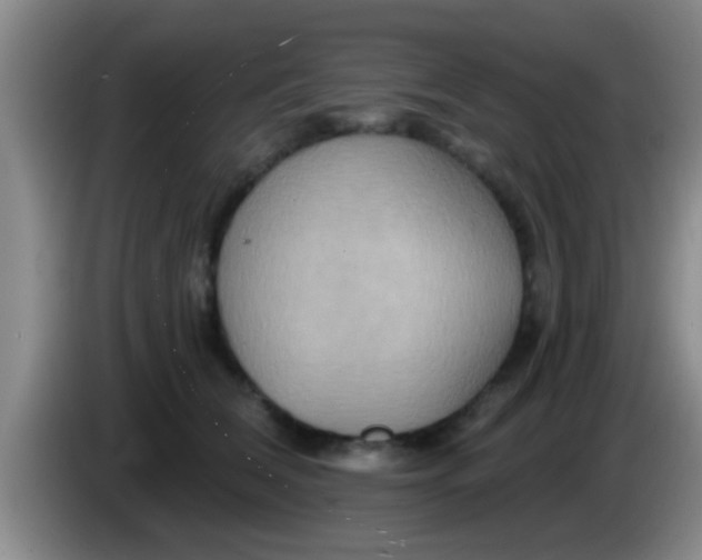 X0000084020612200703091949