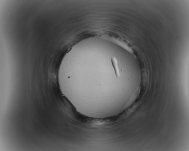 X0000084020613200703091949