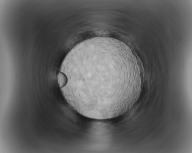 X0000084020614200703091949