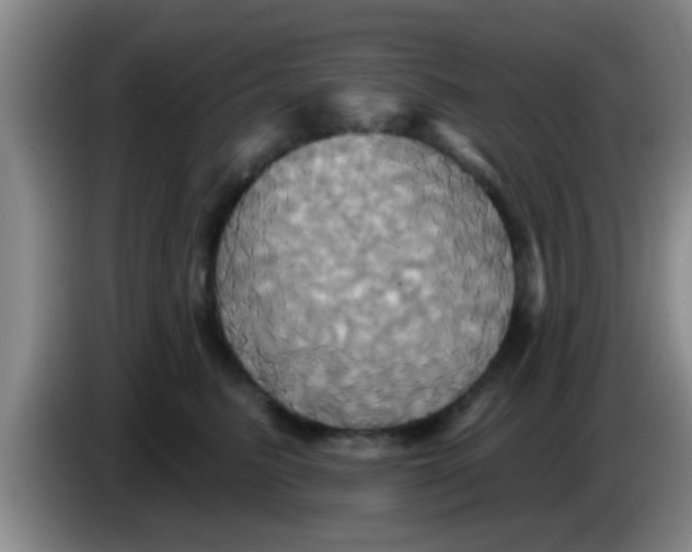 X0000084020615200703091949