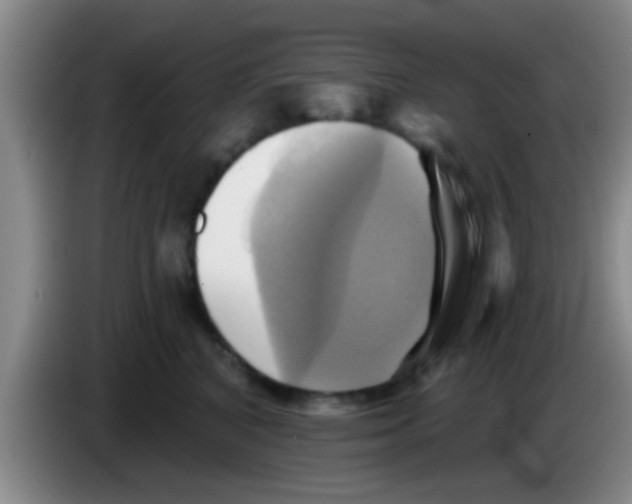 X0000084020616200703091949