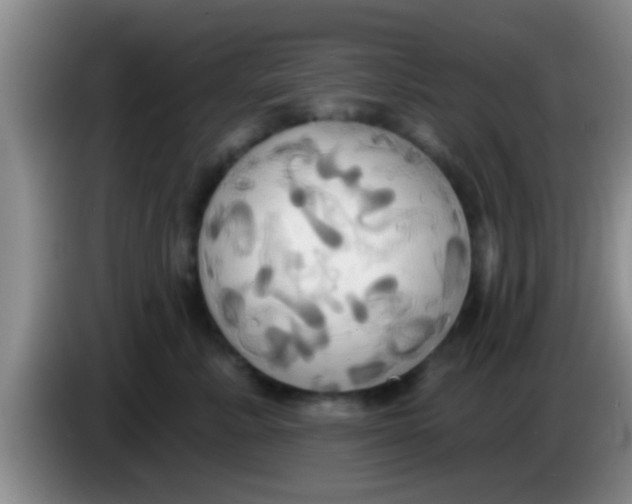 X0000084020619200703091949