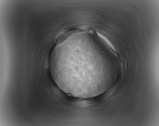 X0000084020620200703091949