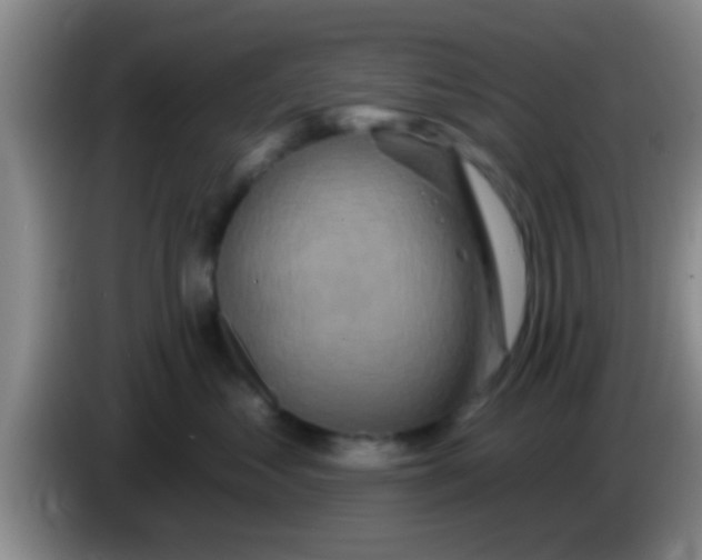 X0000084020621200703091949