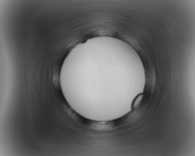 X0000084020622200703091949