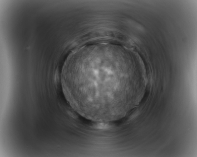 X0000084020623200703091949