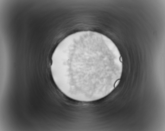 X0000084020624200703091949