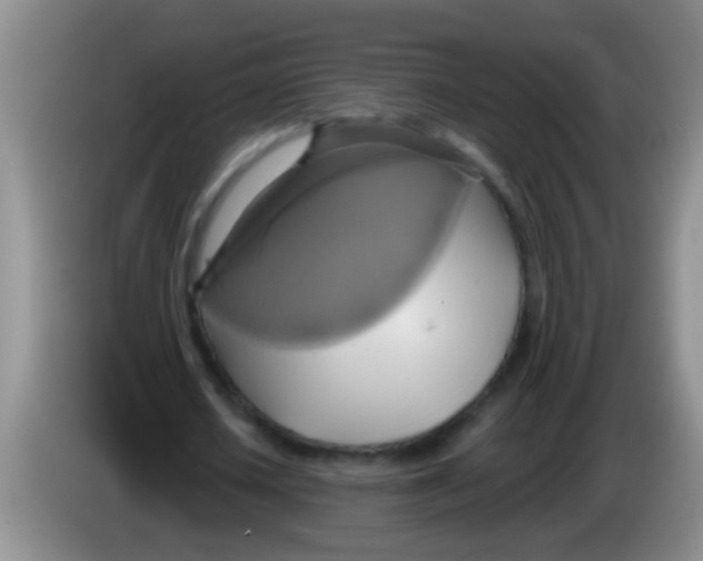 X0000084020626200703091948