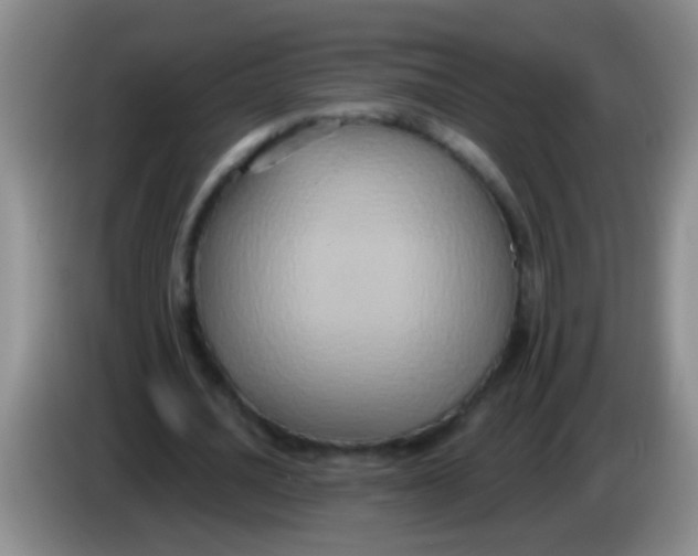 X0000084020628200703091948