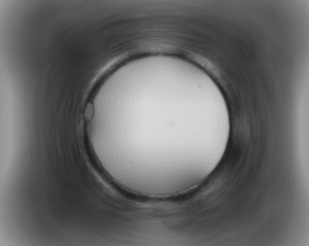 X0000084020629200703091948