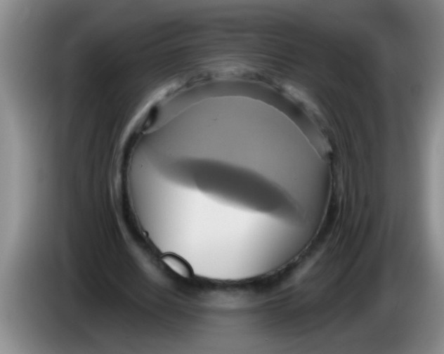 X0000084020630200703091948