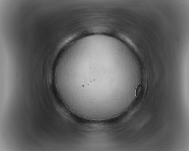 X0000084020631200703091948