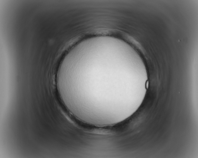 X0000084020633200703091949