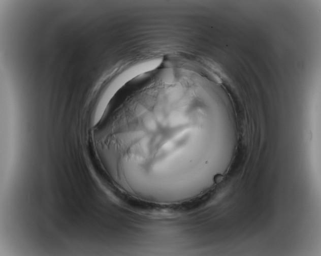 X0000084020634200703091949