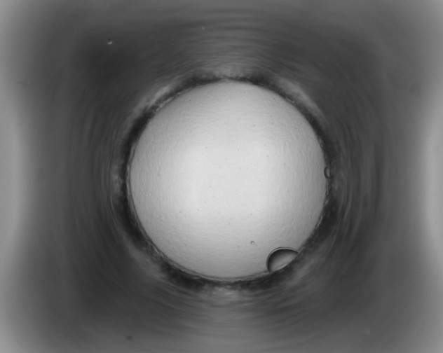 X0000084020635200703091949