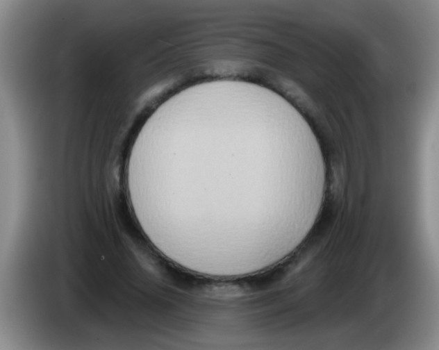 X0000084020636200703091949