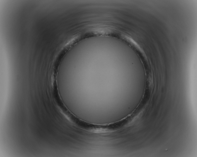 X0000084020637200703091949