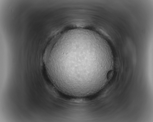 X0000084020639200703091949