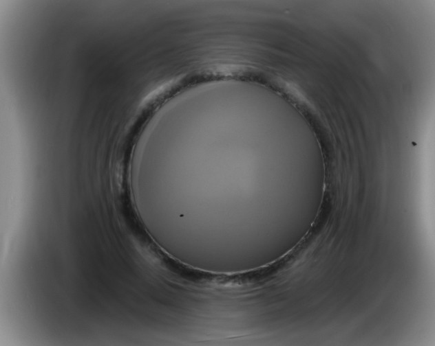 X0000084020640200703091949