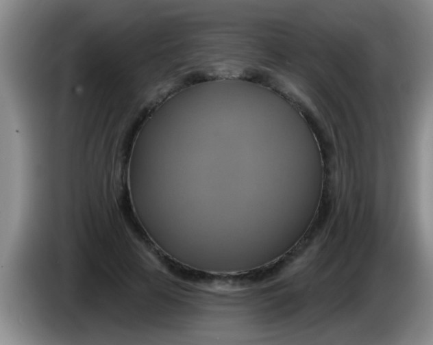 X0000084020641200703091949