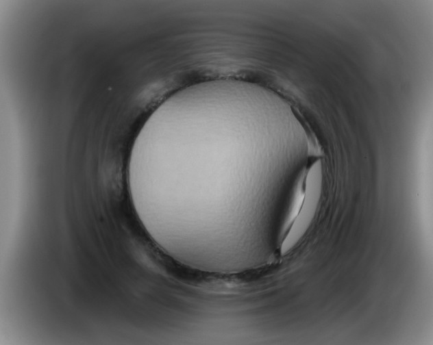 X0000084020642200703091949