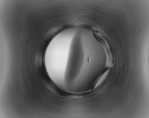 X0000084020644200703091949