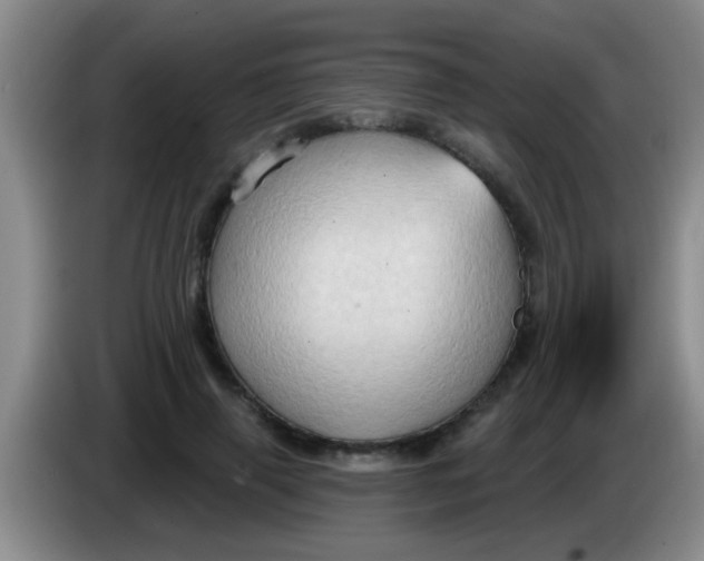 X0000084020645200703091949