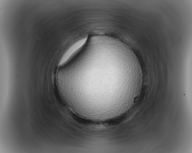 X0000084020646200703091949