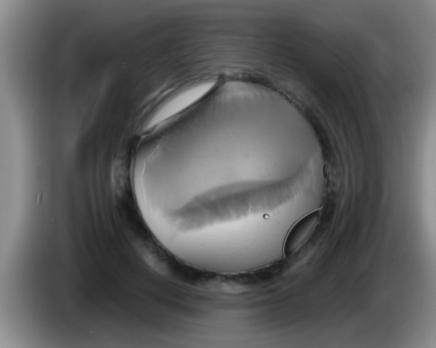 X0000084020648200703091949