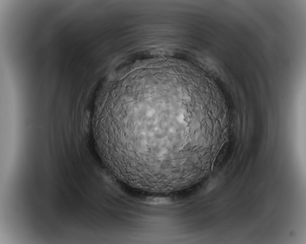 X0000084020649200703091949