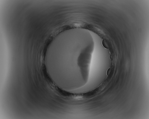 X0000084020651200703091949