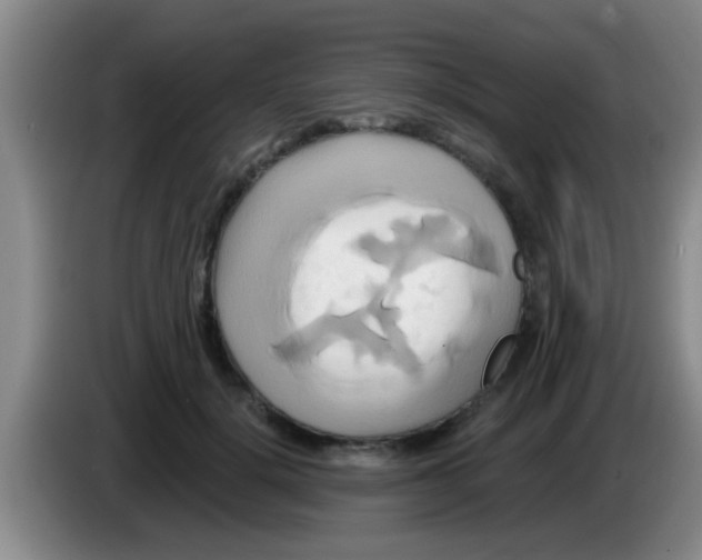 X0000084020652200703091949