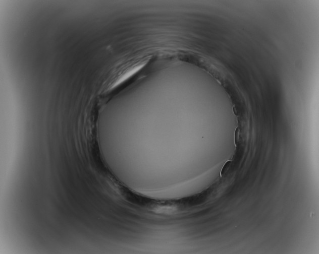 X0000084020653200703091949