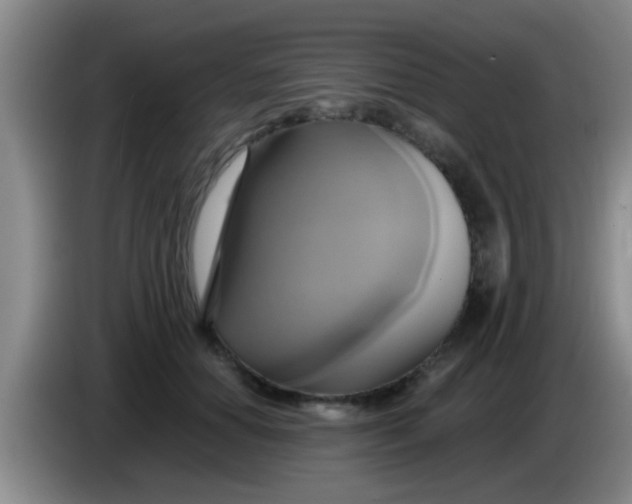 X0000084020654200703091949