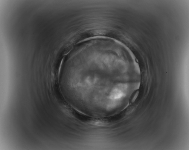 X0000084020655200703091949