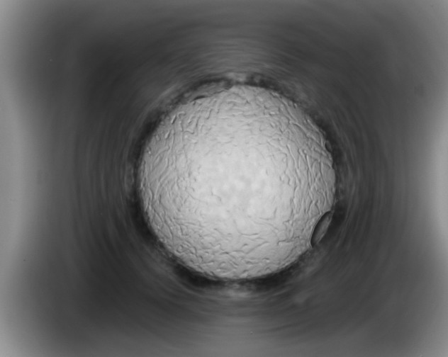 X0000084020656200703091949