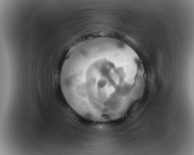 X0000084020657200703091949