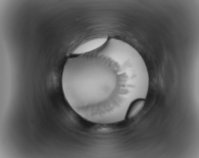 X0000084020658200703091949