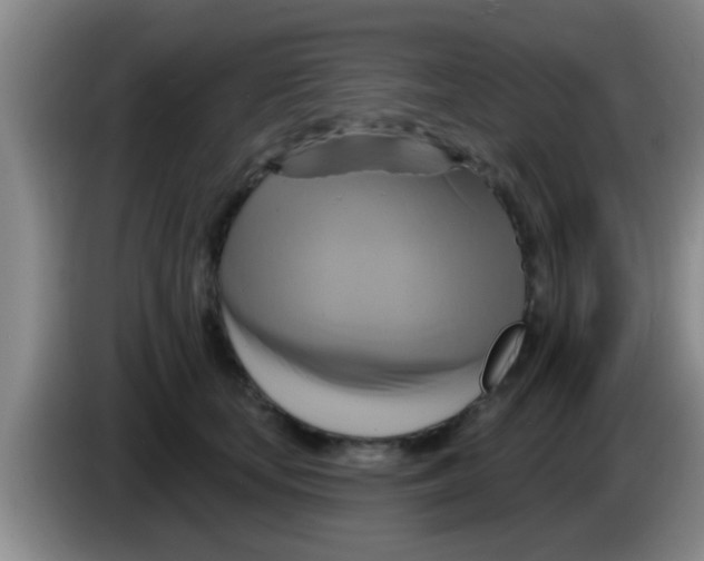 X0000084020659200703091949