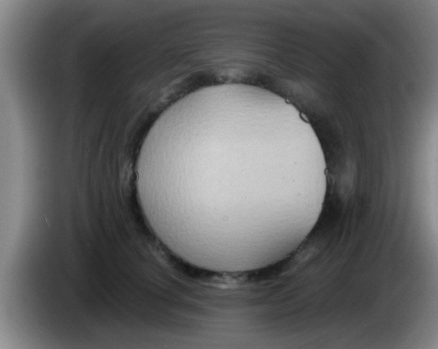 X0000084020660200703091949