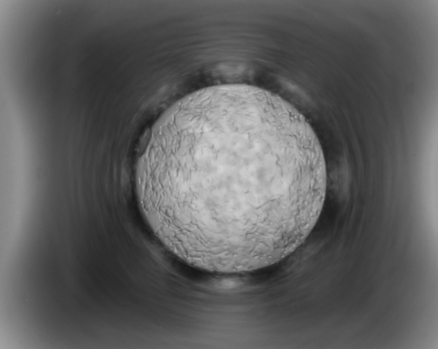 X0000084020662200703091949