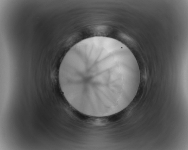 X0000084020663200703091949